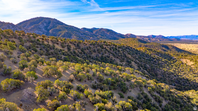 0 County Road 28 Levan, UT 84639 - Photo 135 of 207