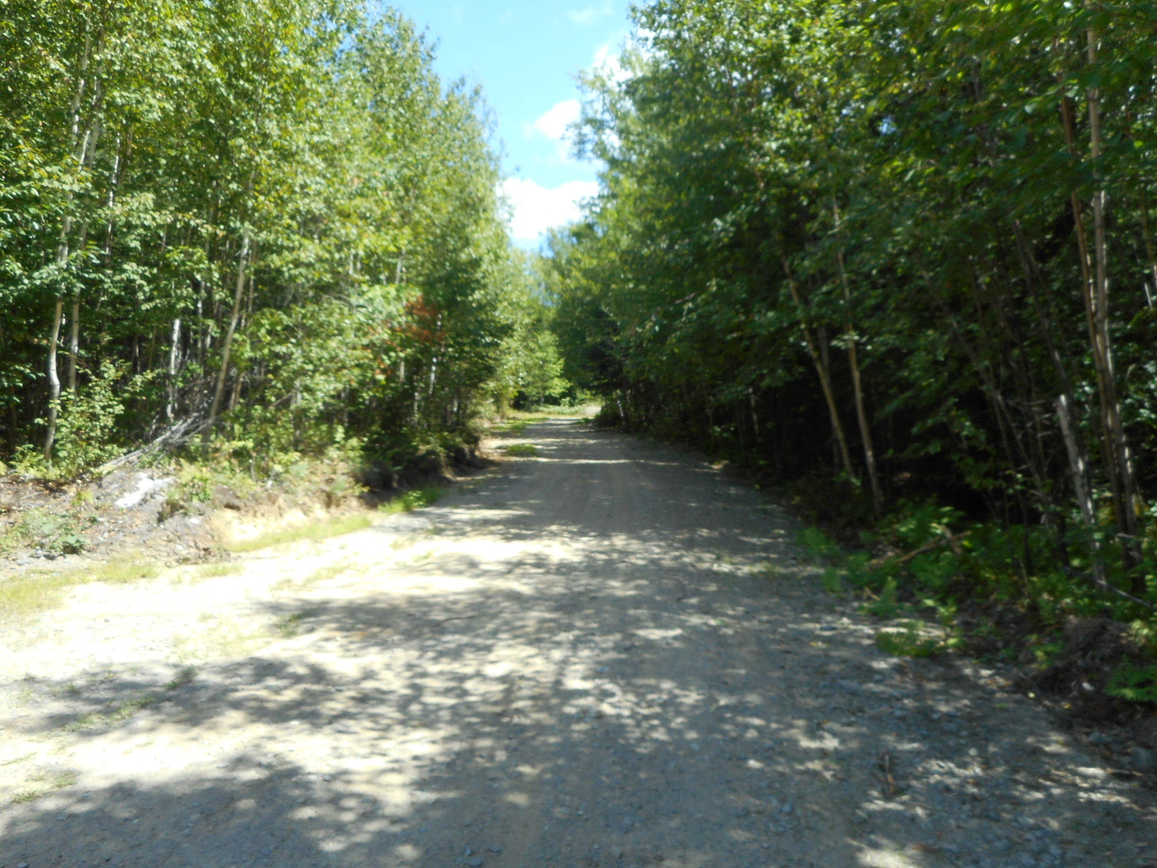 Tbd Tbd Wheeler Road Lincoln, ME 04457 - Photo 16 of 19 DSCN2618