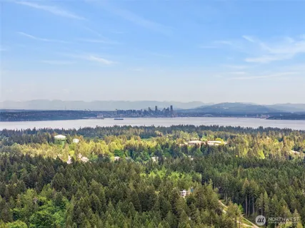 a view of a large body of water with lots of bushes