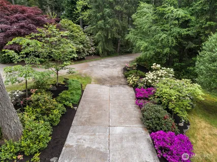 a view of a pathway covered with flower