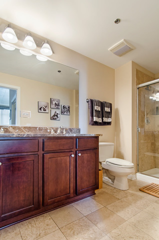 909 West Washington Boulevard, Unit 1008 Chicago, IL 60607 - Photo 16 of 22