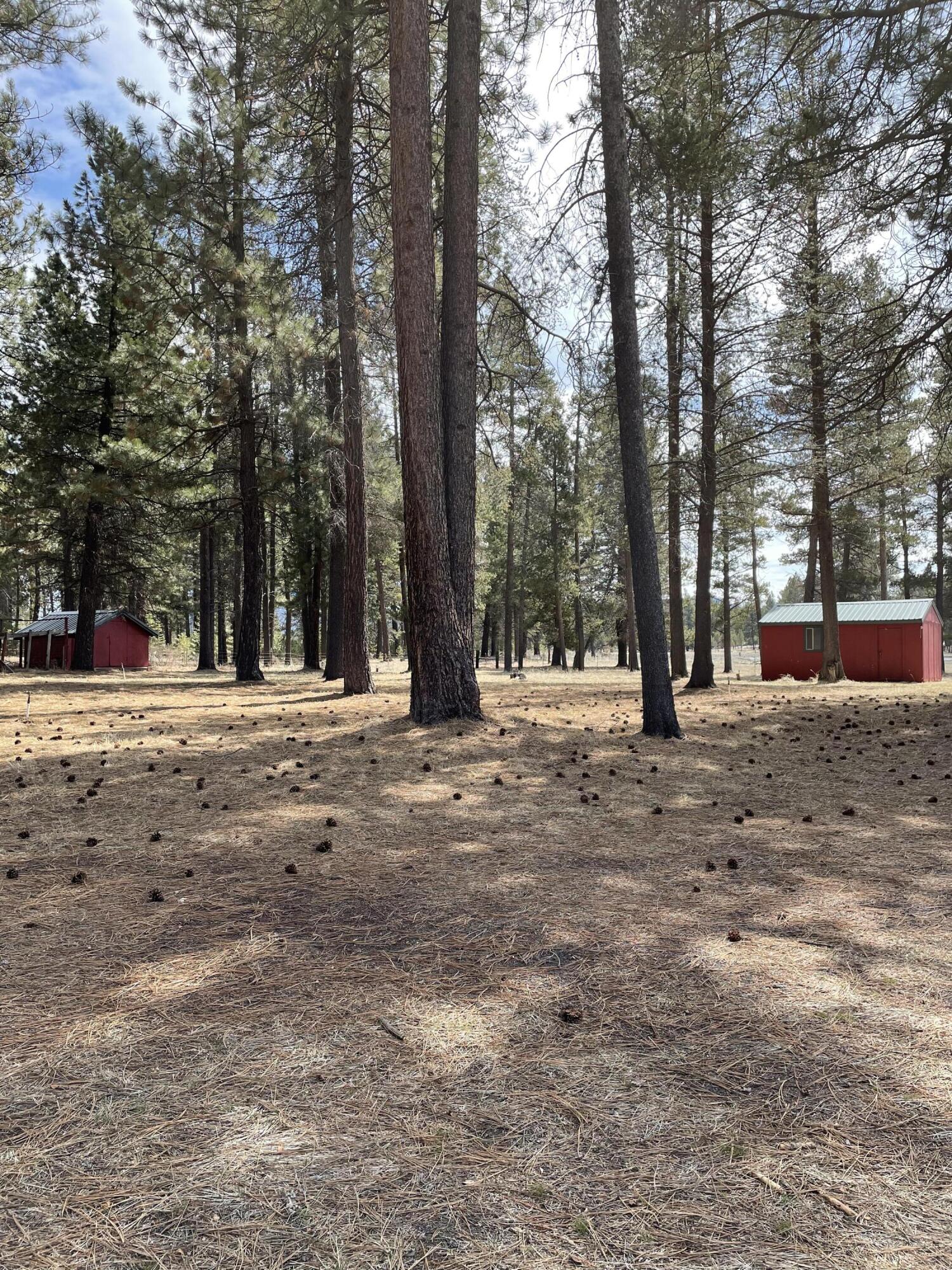 40040 9 Mile Road Chiloquin, OR 97624 - Photo 15 of 34 15