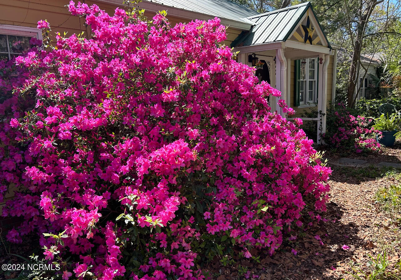2212 Klein Road Wilmington, NC 28405 - Photo 3 of 14 Yard in Spring!