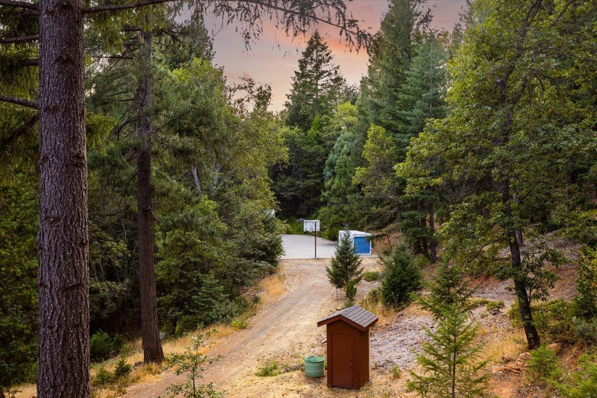 21293 Scotts Flat Road Nevada City, CA 95959 - Photo 45 of 52 a view of outdoor space and yard