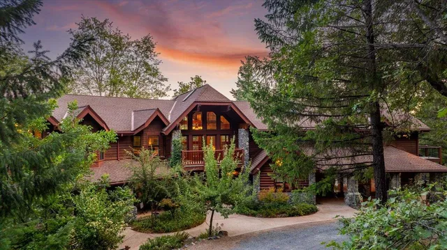 a view of a yard with plants and large trees