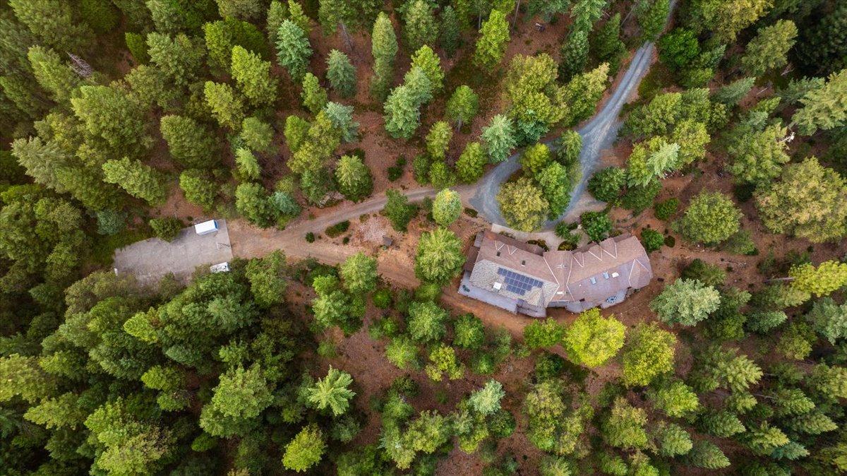21293 Scotts Flat Road Nevada City, CA 95959 - Photo 48 of 62 a view of a yard with plants and large trees