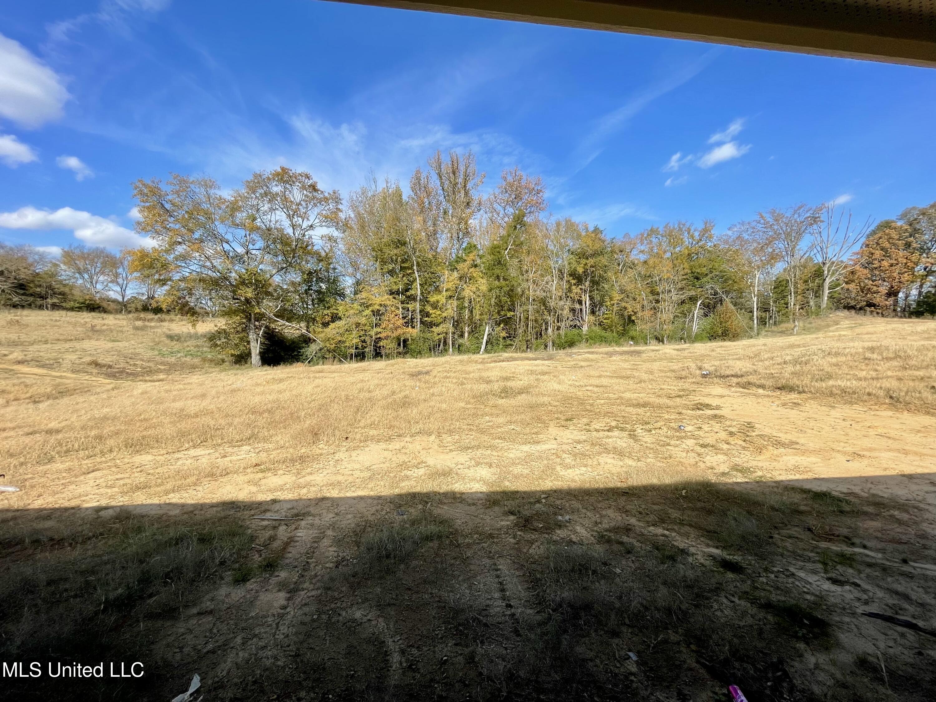 224 Farley Road Byhalia, MS 38611 - Photo 10 of 11 F8920502-7FD6-4846-A2A4-D98E8E546394