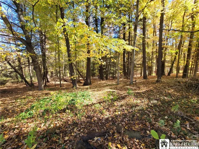 $189,900 | 151 Avalon Boulevard, Ellicott, NY 14701