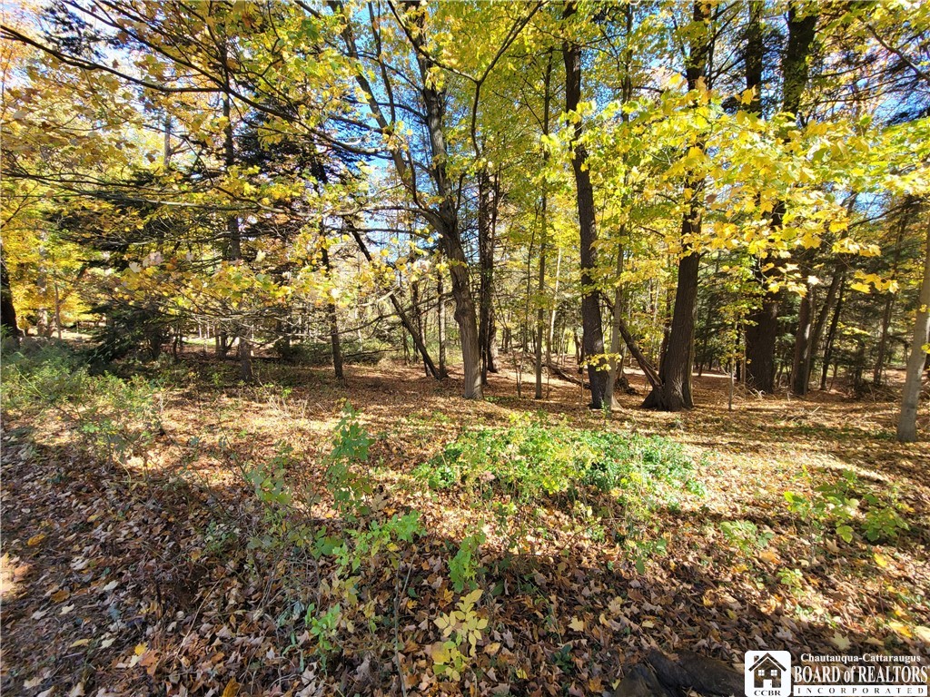 151 Avalon Boulevard Ellicott, NY 14701 - Photo 42 of 45