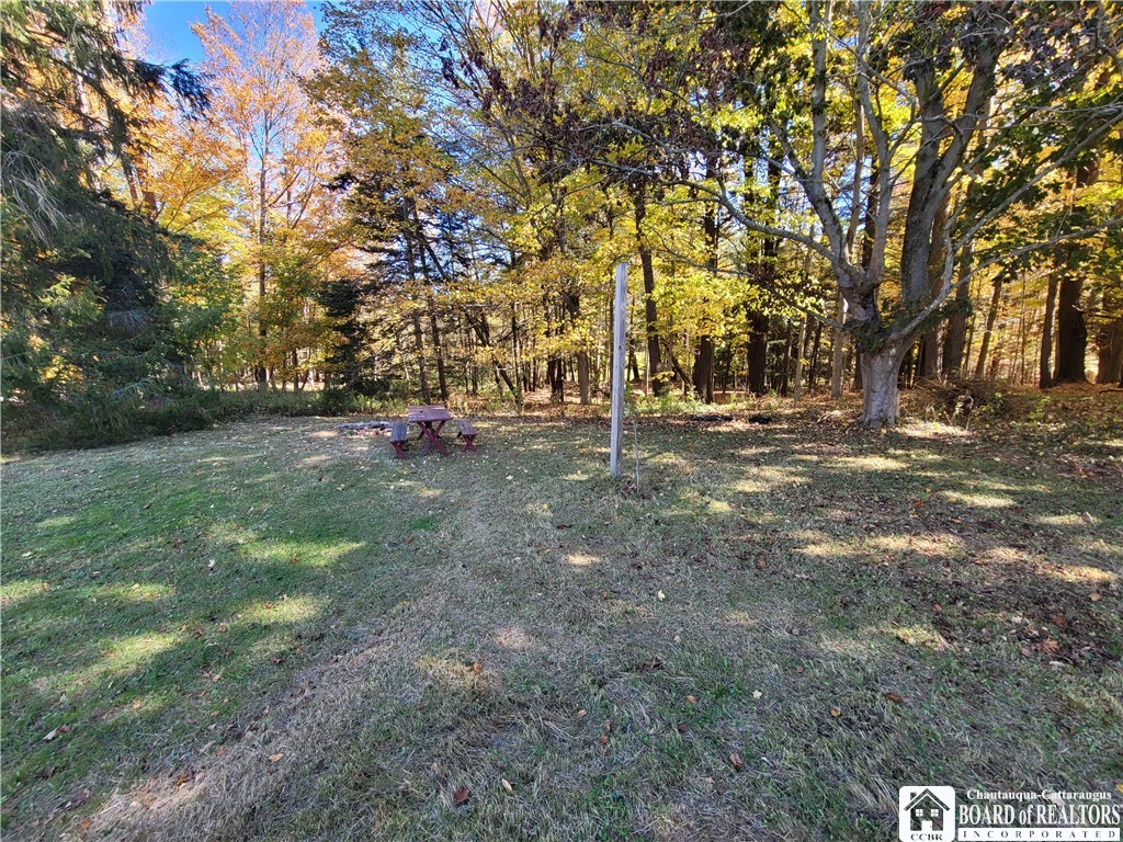 151 Avalon Boulevard Ellicott, NY 14701 - Photo 43 of 45