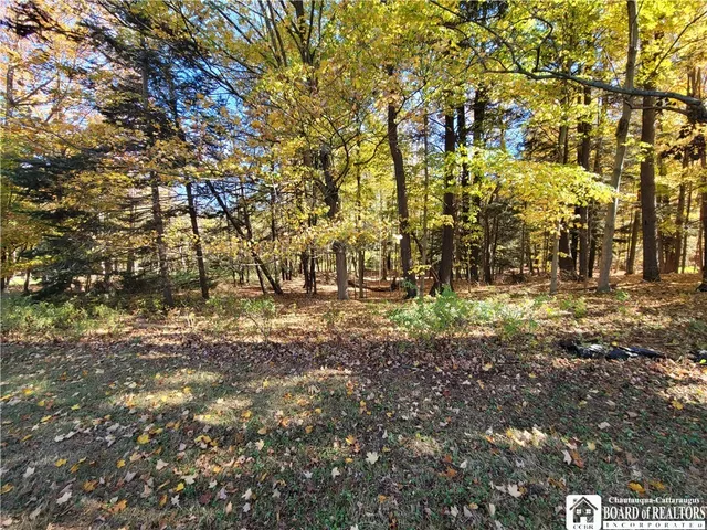 $189,900 | 151 Avalon Boulevard, Ellicott, NY 14701