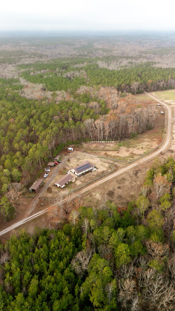 181 Tuck Road Bradley, SC 29819 - Photo 11 of 43 Gallery Image 11