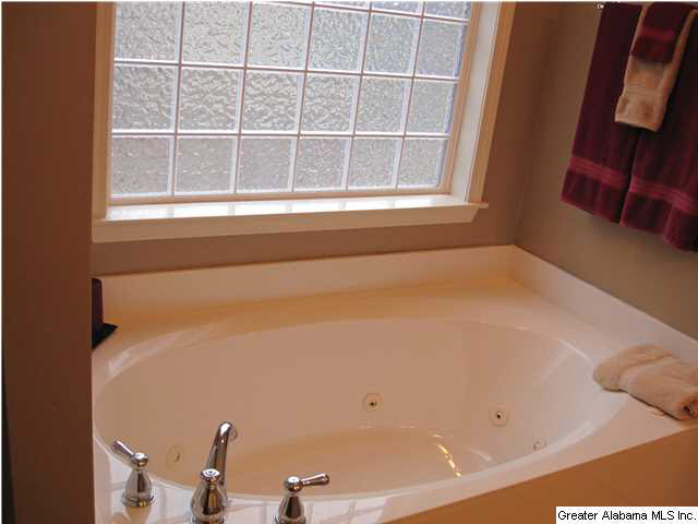 420 Turkey Trail Road Odenville, AL 35120 - Photo 5 of 29