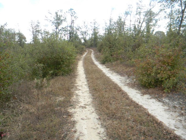 Majority Road Orangeburg, SC 29118 - Photo 1 of 18 Main View