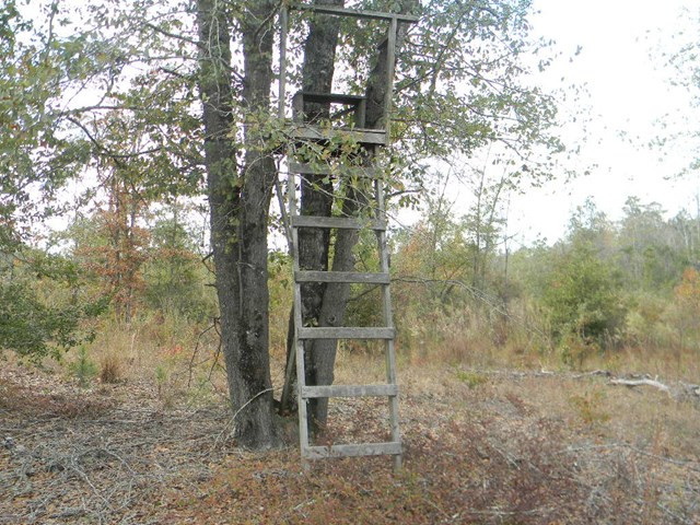 Majority Road Orangeburg, SC 29118 - Photo 15 of 18 Photo 15