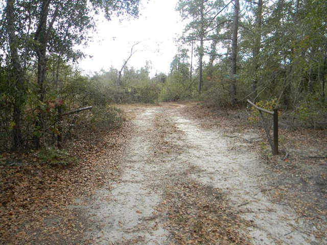 Majority Road Orangeburg, SC 29118 - Photo 2 of 18 Photo 2