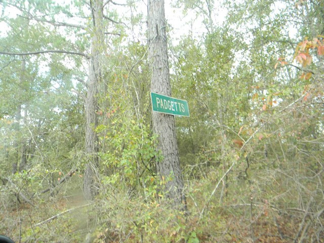 Majority Road Orangeburg, SC 29118 - Photo 3 of 18 Photo 3