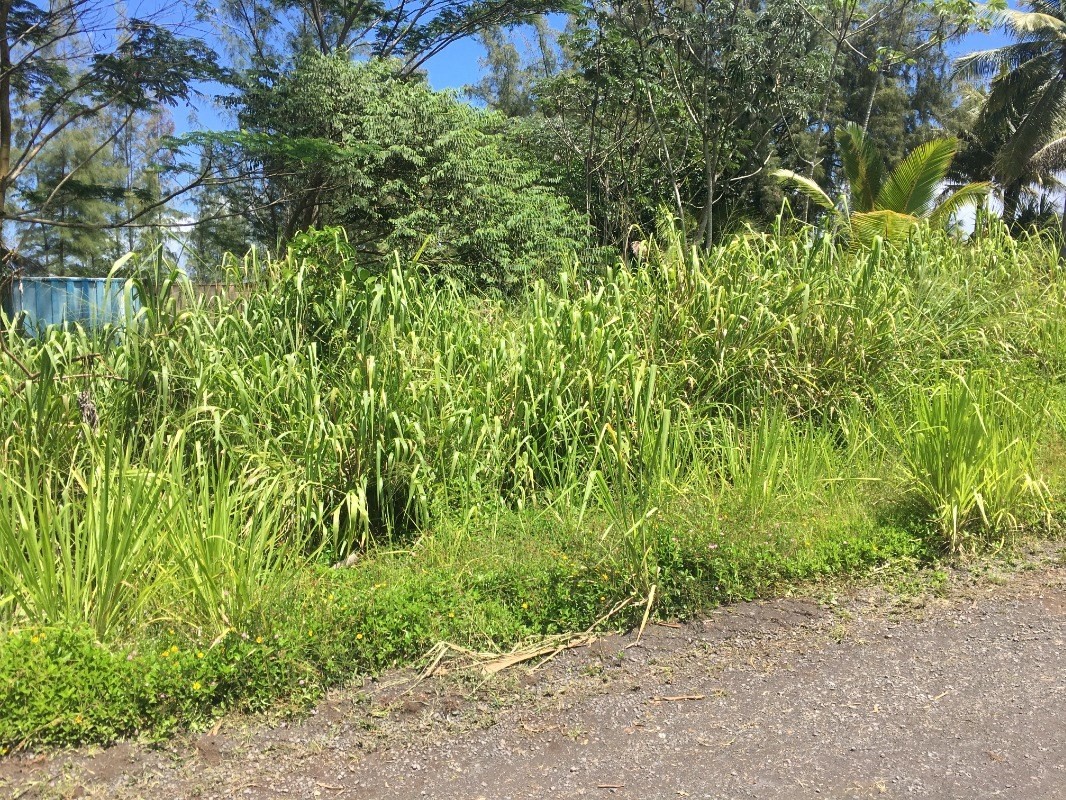15-1859 Beach Road Keaau, HI 96749 - Photo 16 of 16 Gallery Image 16