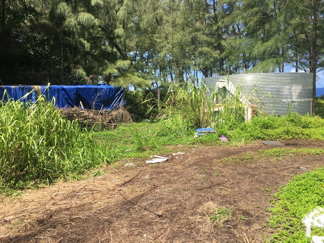15-1859 Beach Road Keaau, HI 96749 - Photo 8 of 16 Gallery Image 8