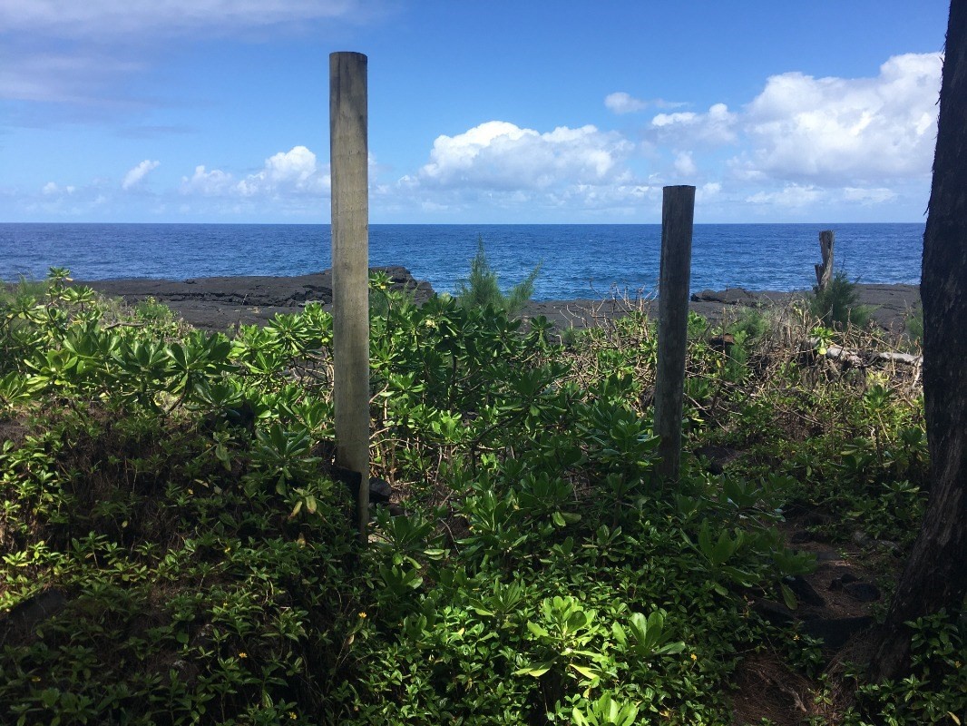 15-1859 Beach Road Keaau, HI 96749 - Photo 10 of 16 Gallery Image 10