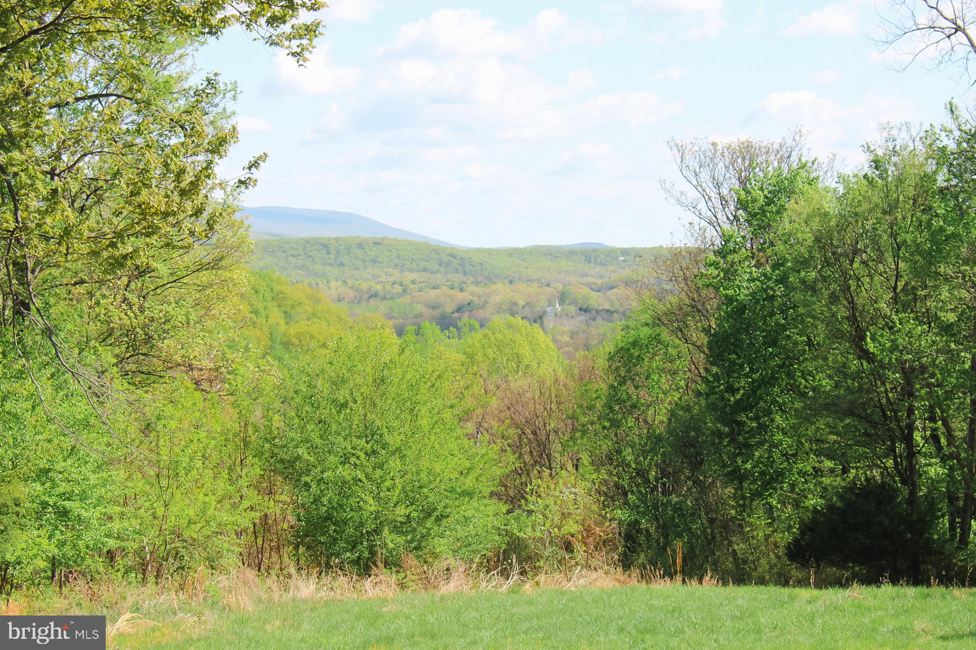 224 Oates Road Star Tannery, VA 22654 - Photo 4 of 56 Gallery Image 4