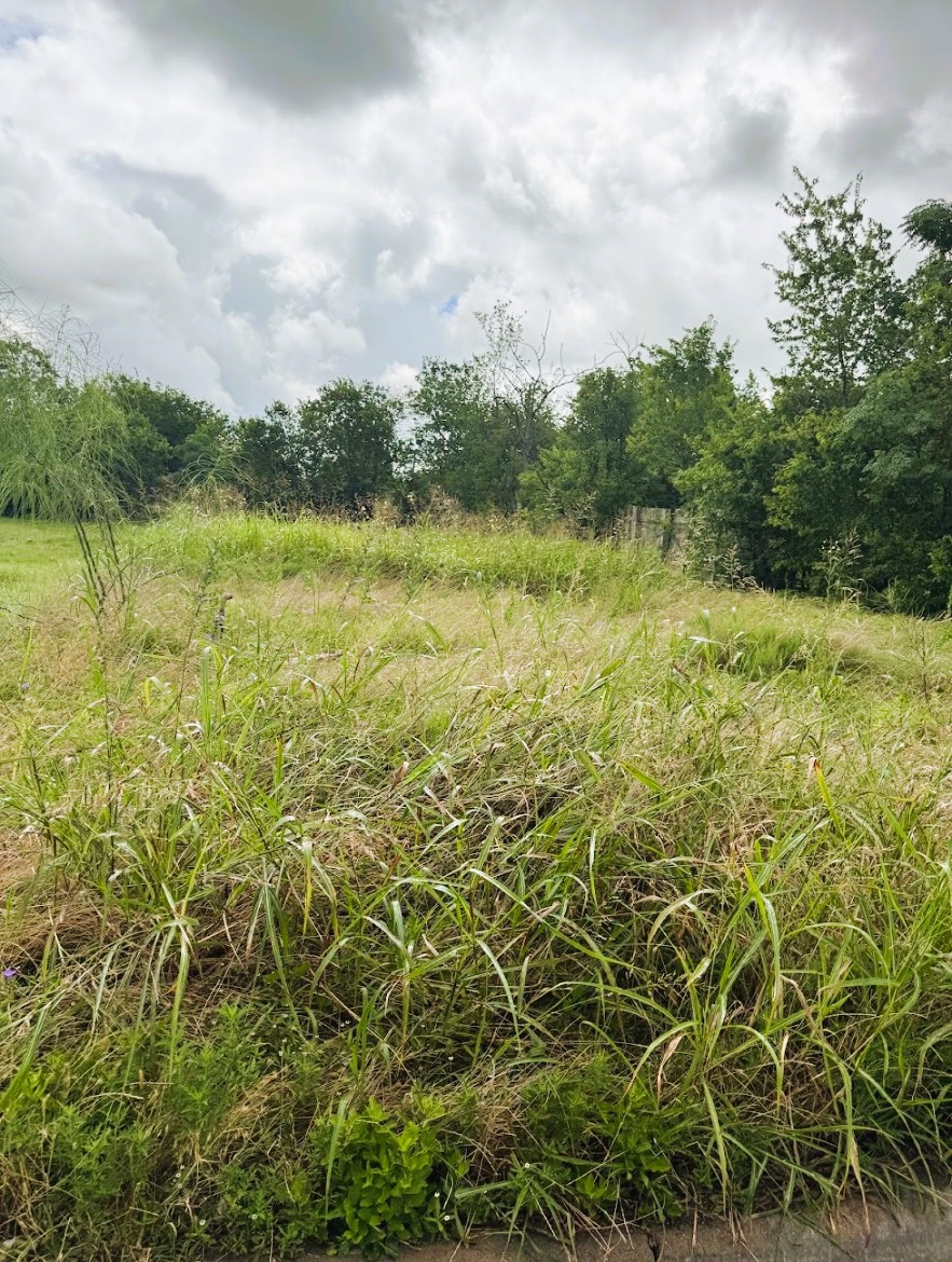 503 Maple Street Taylor, TX 76574 - Photo 2 of 20 Spacious lot—perfect for building or placing a mobile home.
