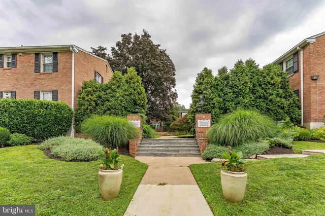 a view of a backyard with plants and a patio