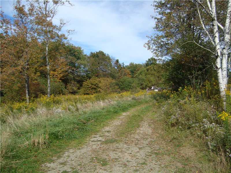 981 Cypress Road Commodore, PA 15729 - Photo 2 of 8 Other.