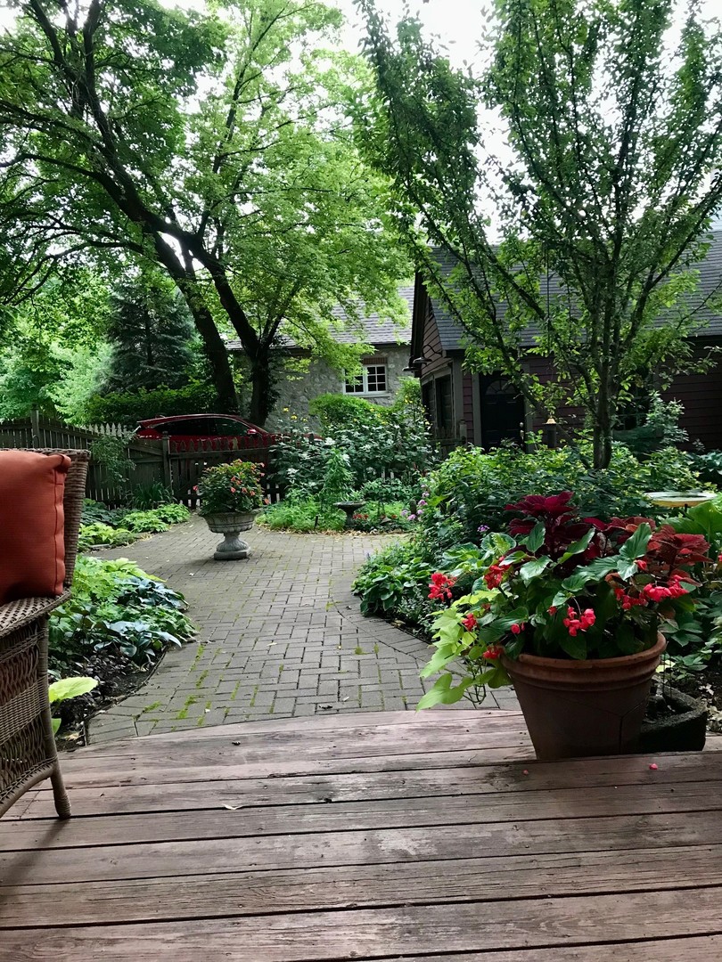 804 North Wheaton Avenue Wheaton, IL 60187 - Photo 6 of 7 a view of a garden with flowers and trees