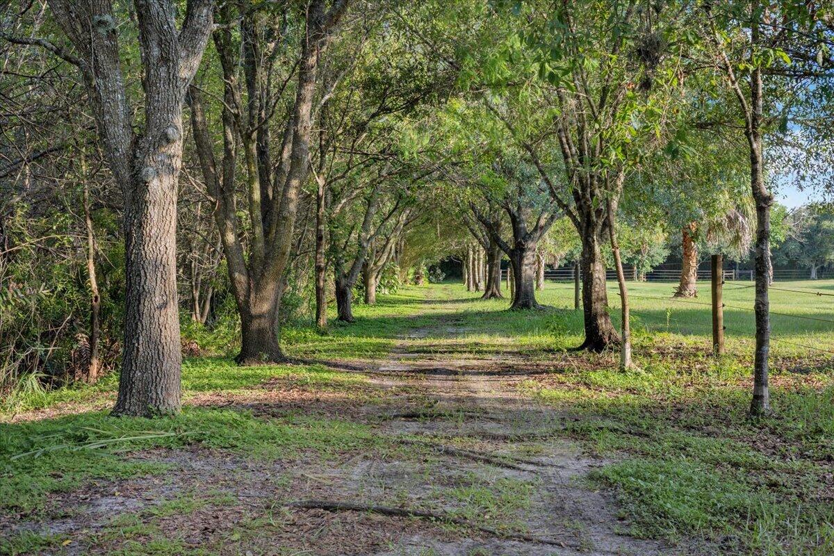 8505 Immokolee Road Fort Pierce, FL 34951 - Photo 76 of 99 081-GG3A5510