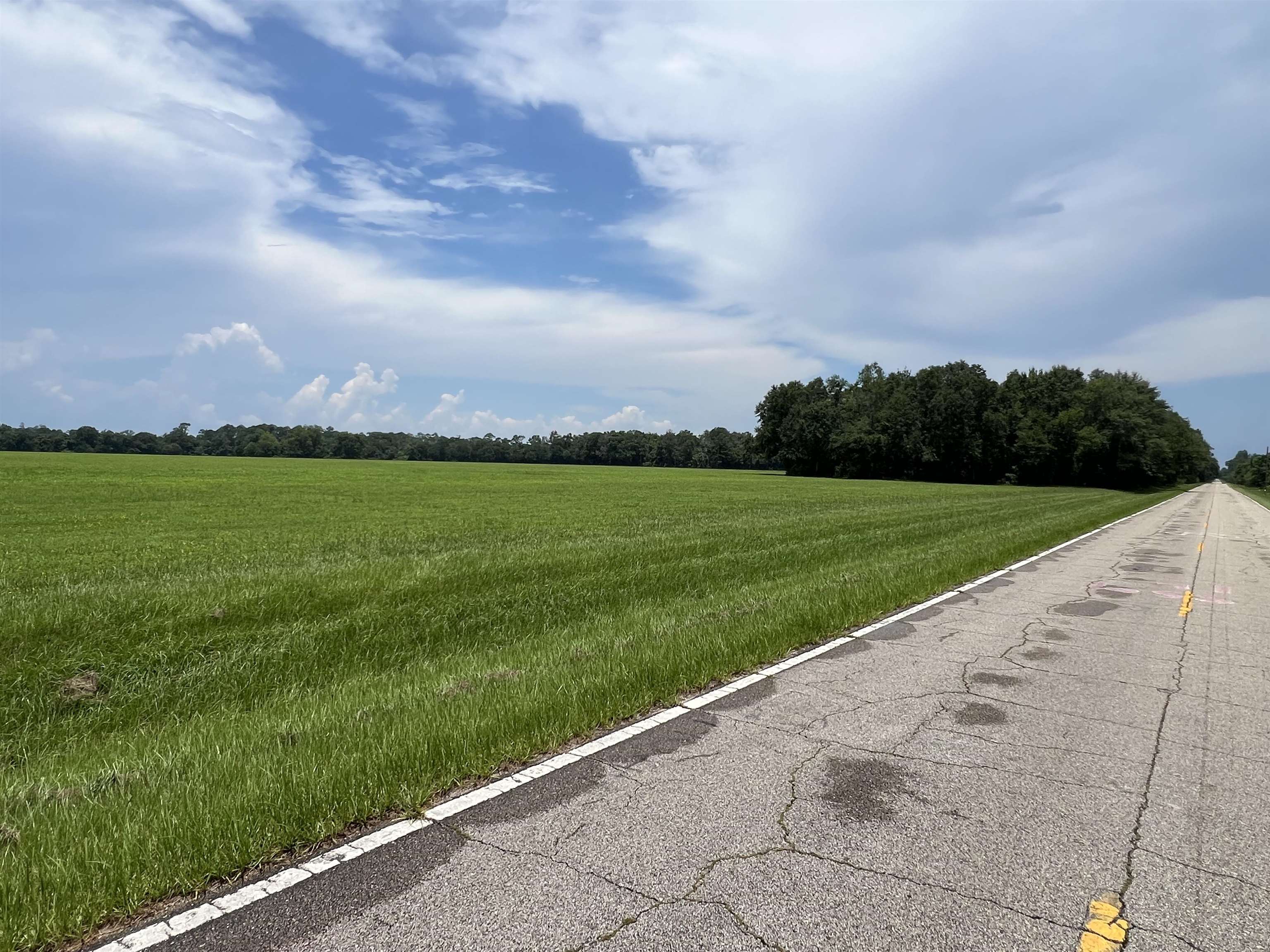 Xx Xx Max Herrin Road Quincy, FL 32352 - Photo 25 of 46