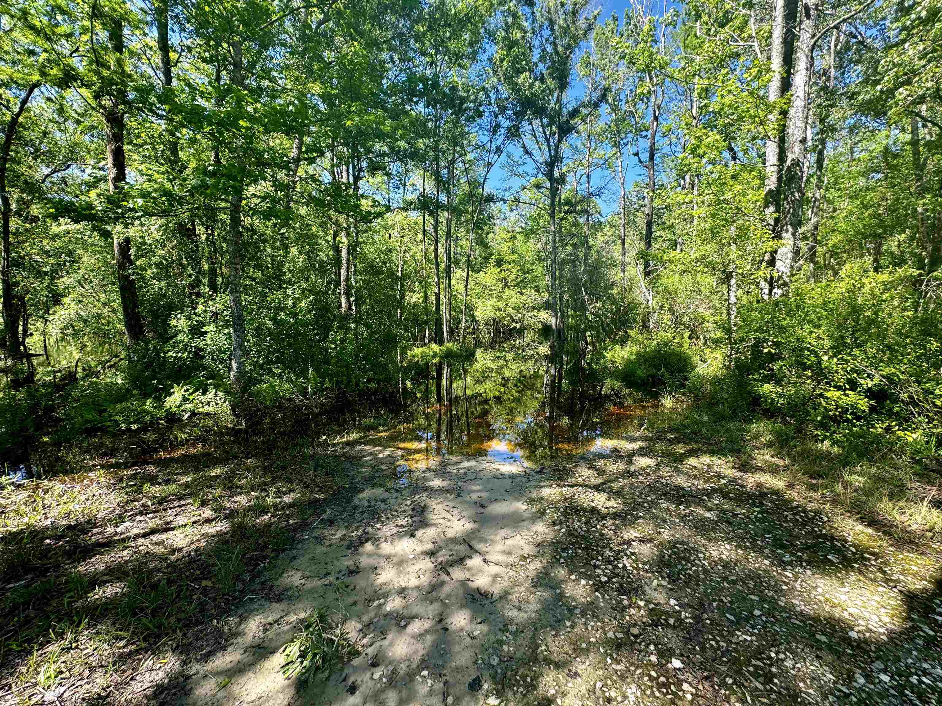 1 Southwest 1 Federal Road Lamont, FL 32336 - Photo 19 of 24 Gallery Image 19