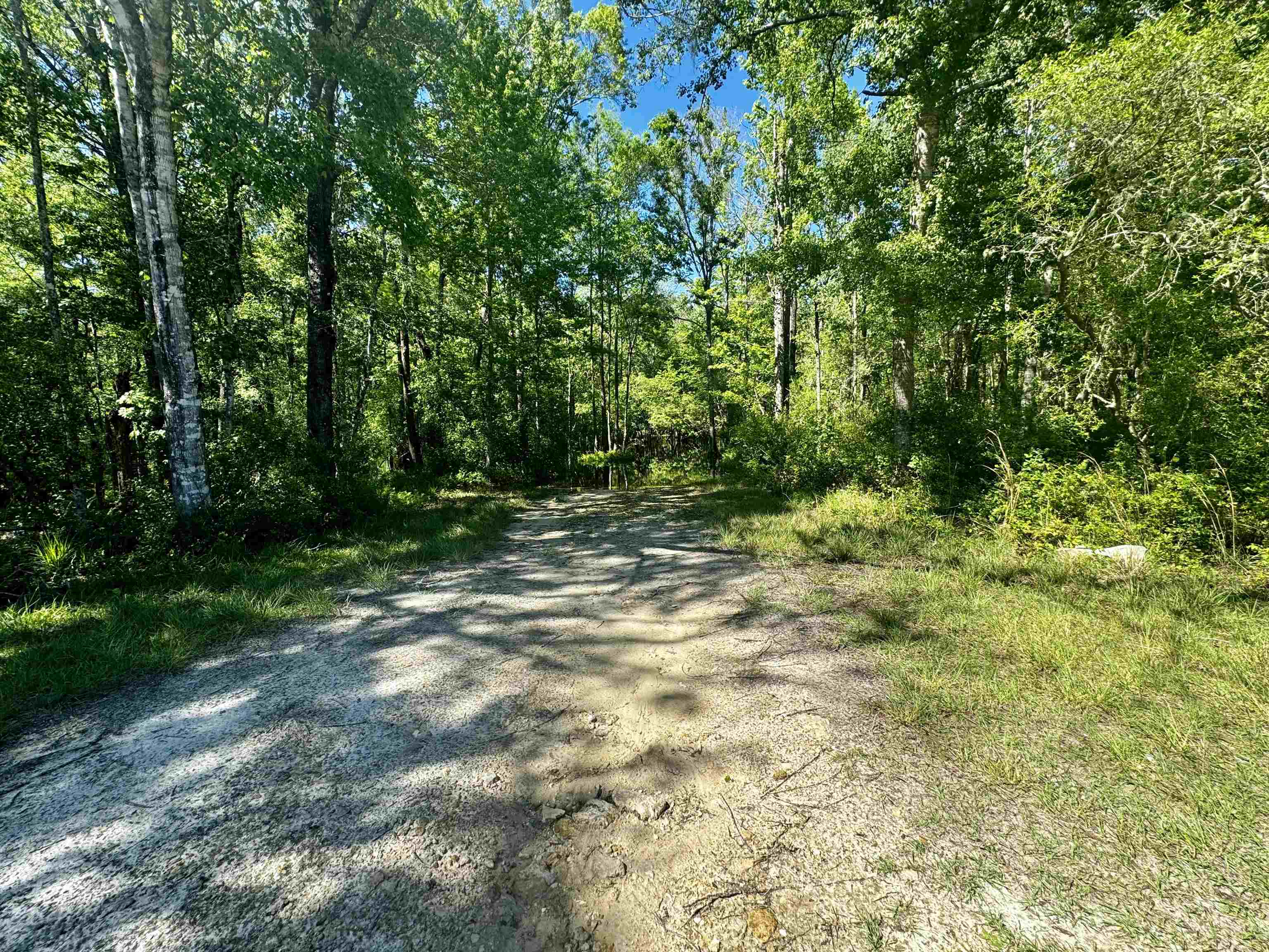 1 Southwest 1 Federal Road Lamont, FL 32336 - Photo 20 of 24 Gallery Image 20