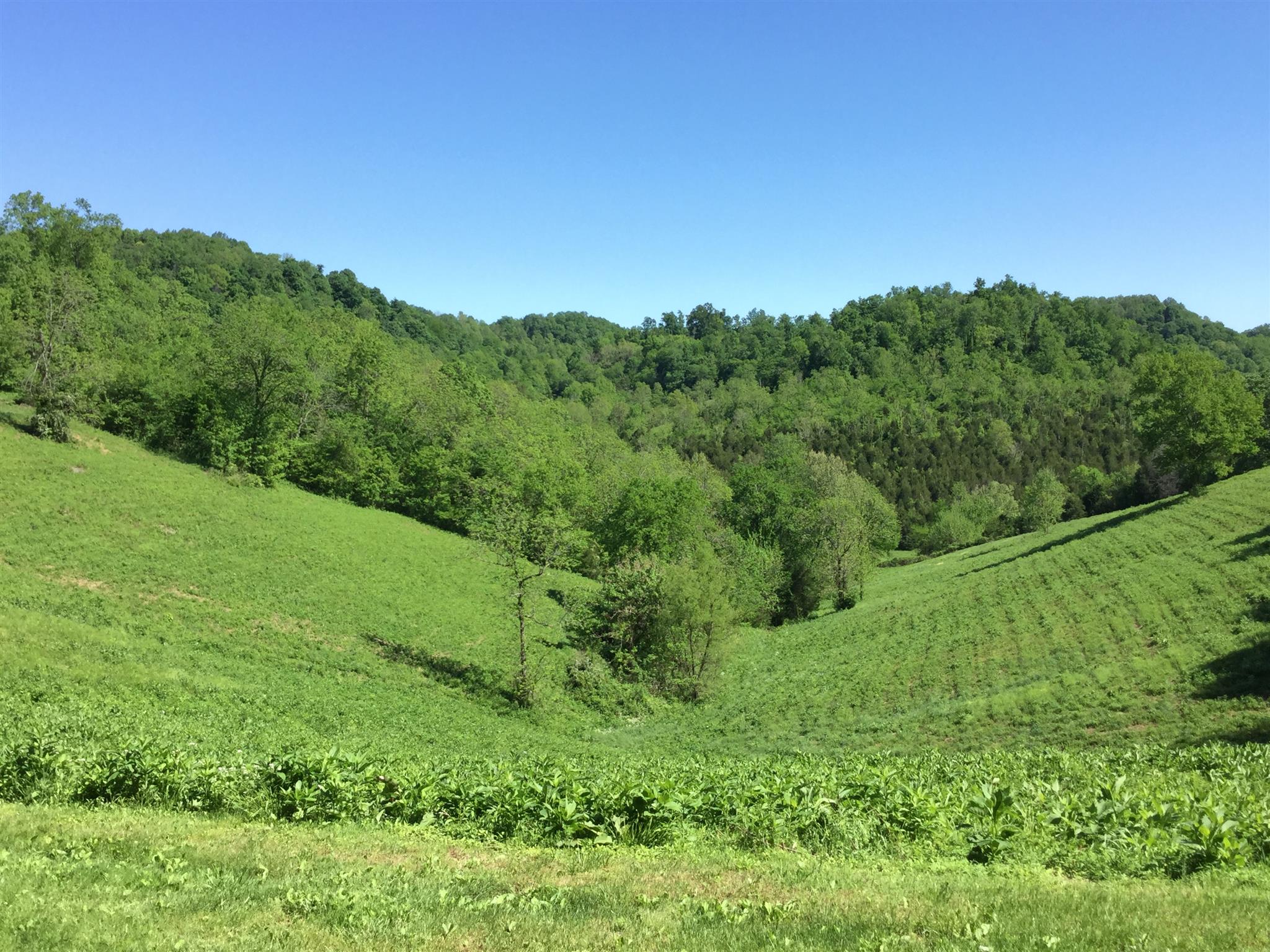 73 Green Hill Road Pleasant Shade, TN 37145 - Photo 13 of 19