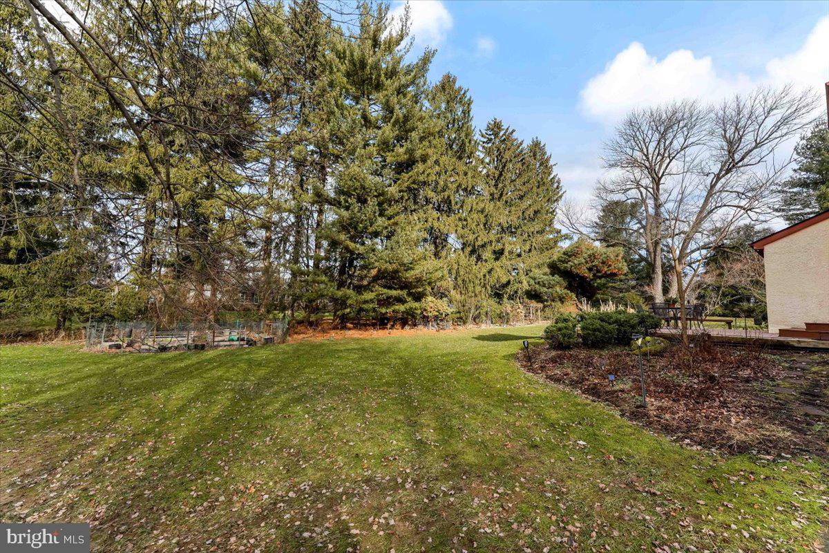 3 Berkshire Terrace Wayne, PA 19087 - Photo 37 of 46 Spectacular Leveled Yard