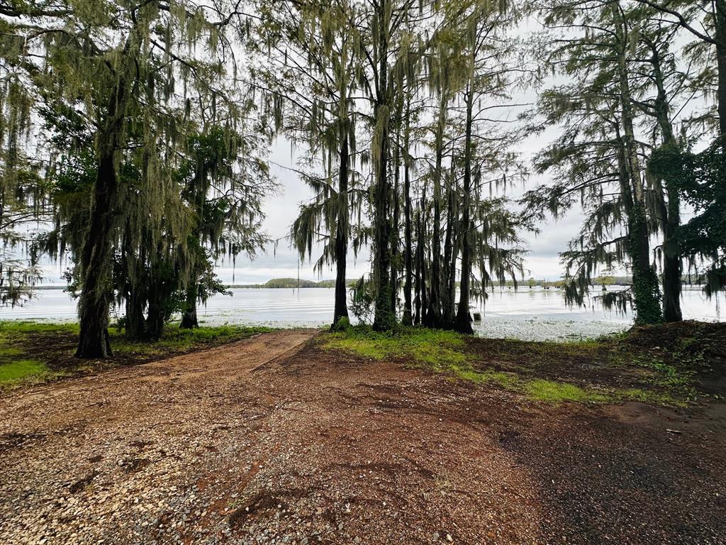 3636 Tbd Jefferson, TX 75657 - Photo 18 of 18 a view of backyard with green space