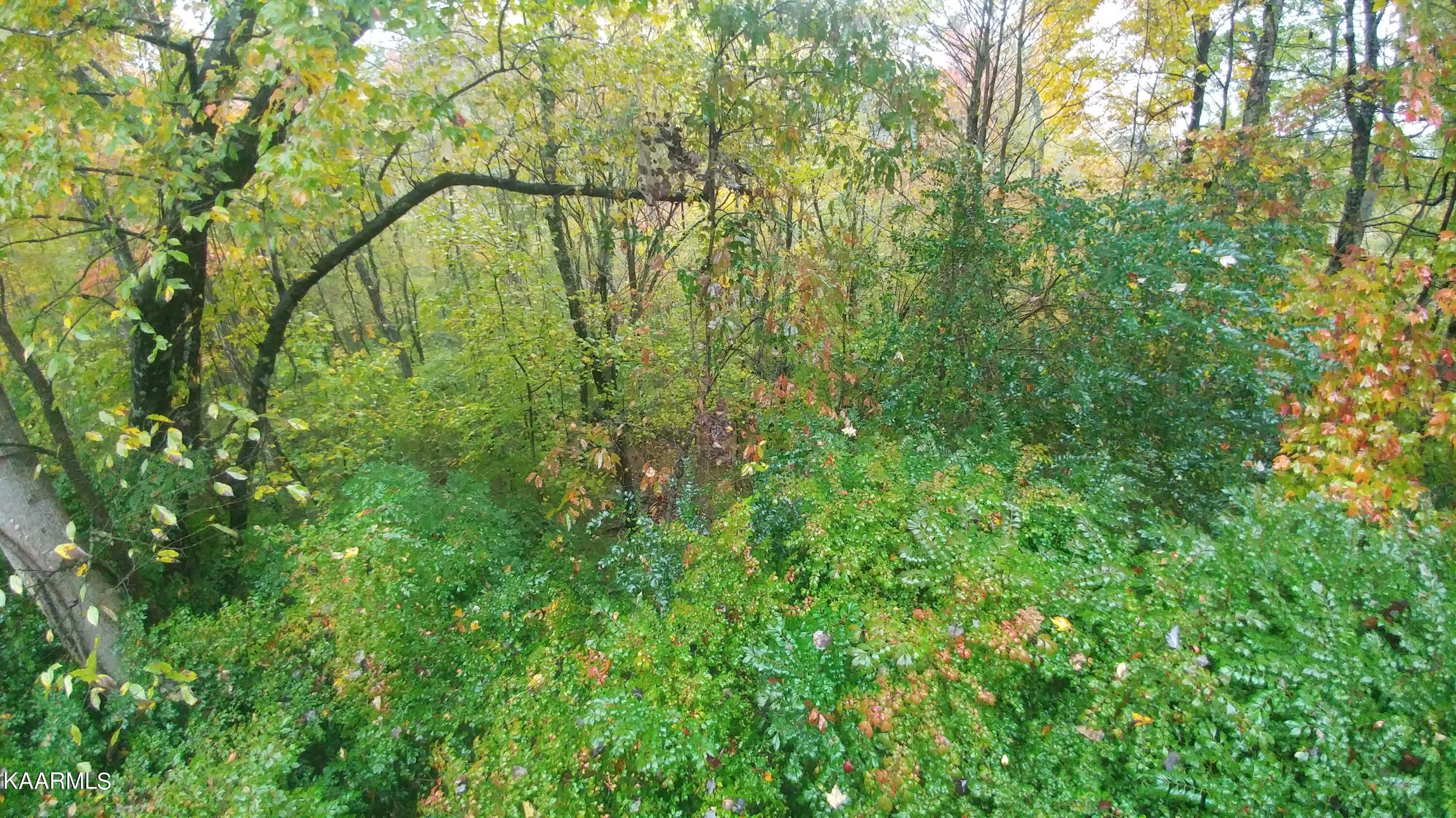 111 Greenbriar Lane Oak Ridge, TN 37830 - Photo 28 of 29 1030210944_HDR