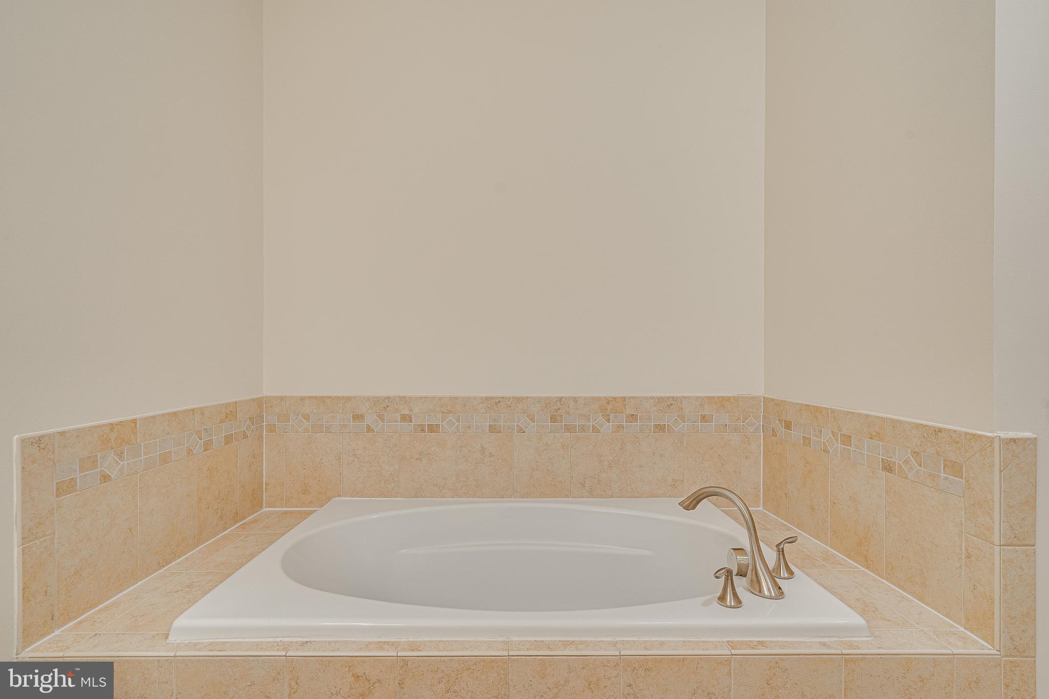 42554 Sunset Ridge Square Ashburn, VA 20148 - Photo 19 of 33 Primary Bathroom Soaking Tub