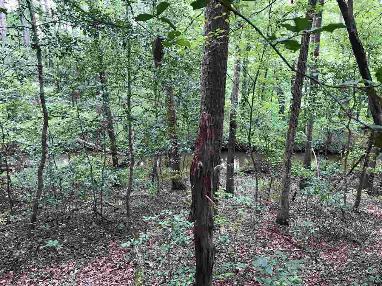 370 Canyon Ridge Trail Lyman, SC 29365 - Photo 17 of 18 Gallery Image 17