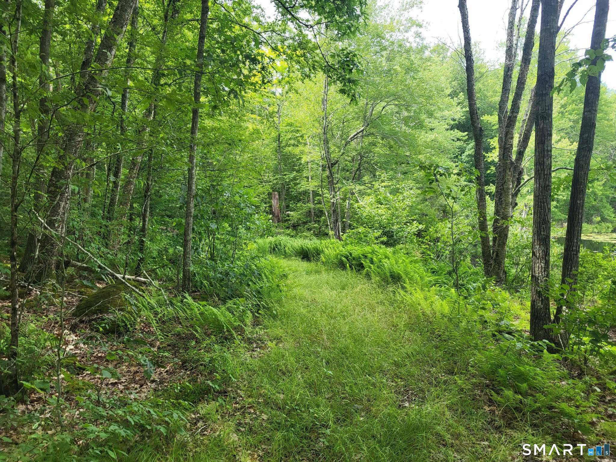 305 Tripp Hollow Road Brooklyn, CT 06234 - Photo 7 of 29