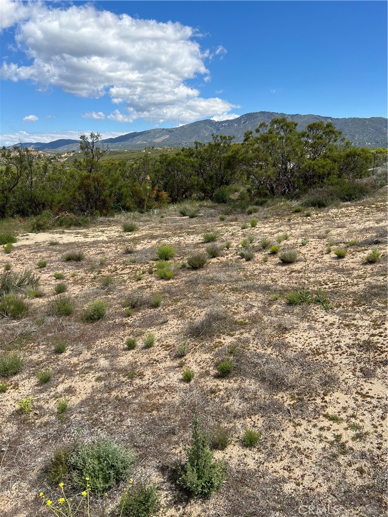 0 Scouts Lane Anza, CA 92539 - Photo 9 of 9 a view of lake with mountain
