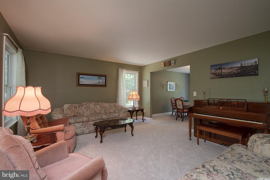 4225 Sumerduck Road Sumerduck, VA 22742 - Photo 2 of 30 Family Room with all new carpet