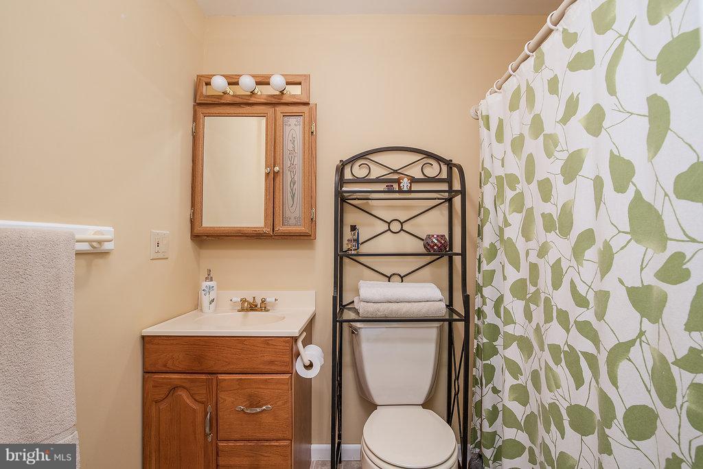 4225 Sumerduck Road Sumerduck, VA 22742 - Photo 15 of 30 Bath (Master)