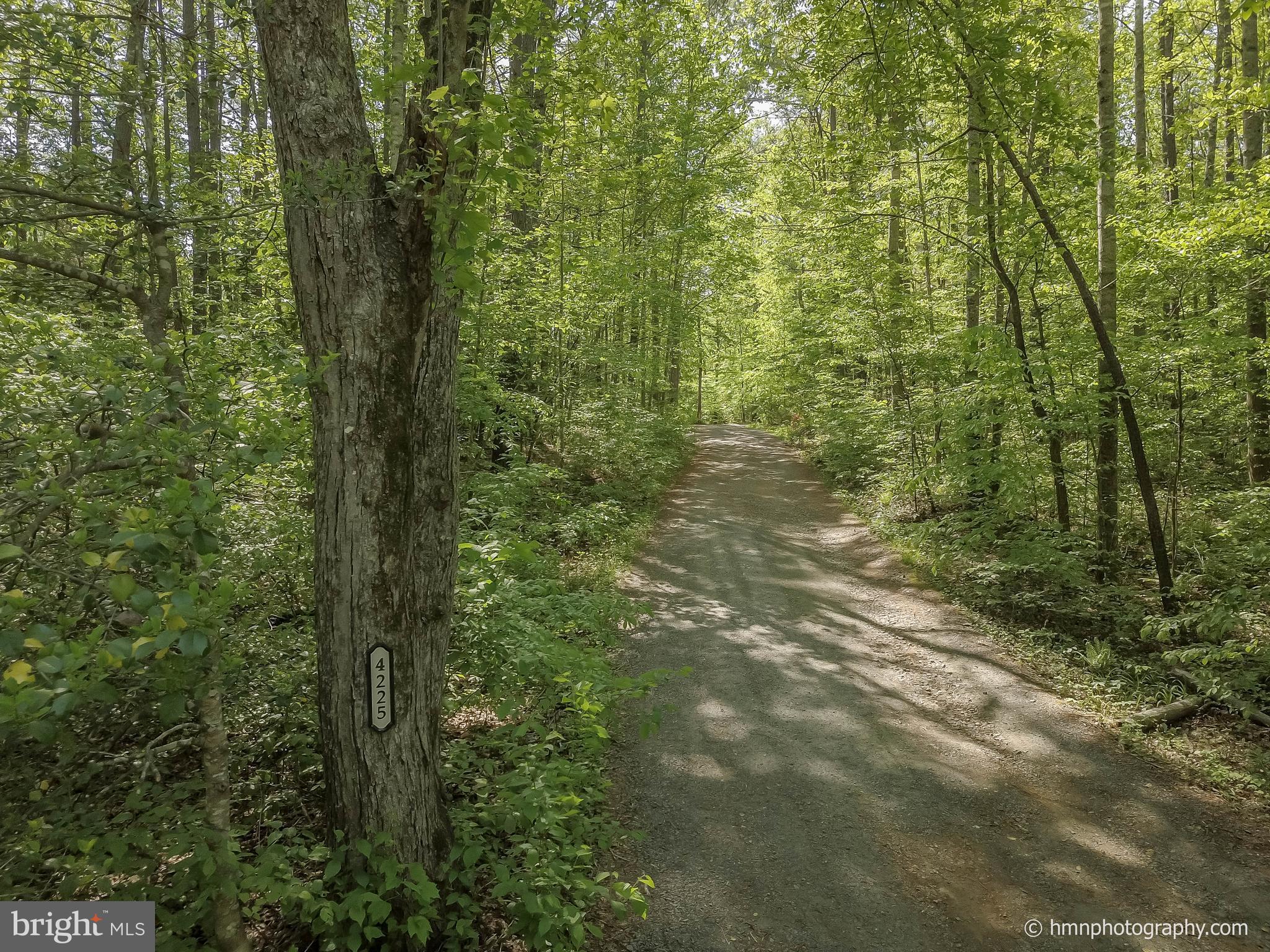 4225 Sumerduck Road Sumerduck, VA 22742 - Photo 26 of 30 shared driveway