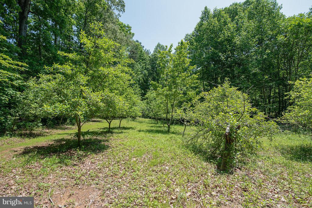 4225 Sumerduck Road Sumerduck, VA 22742 - Photo 28 of 30 Fruit trees behind home