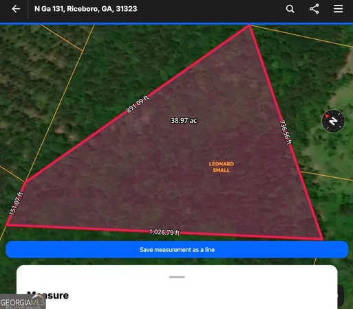 $48,000 | N/s Hwy 131 Lecounte Road, Townsend, GA 31331