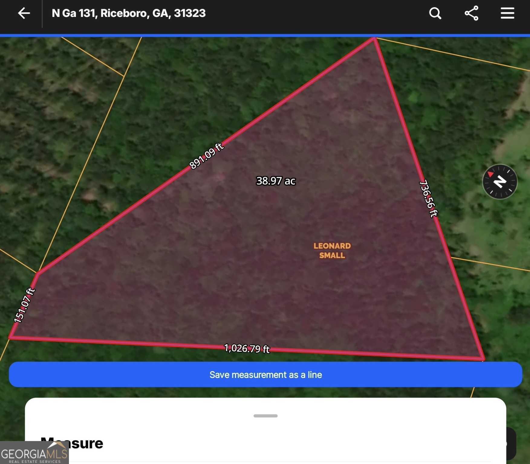 N/s Hwy 131 Lecounte Road Townsend, GA 31331 - Photo 1 of 4