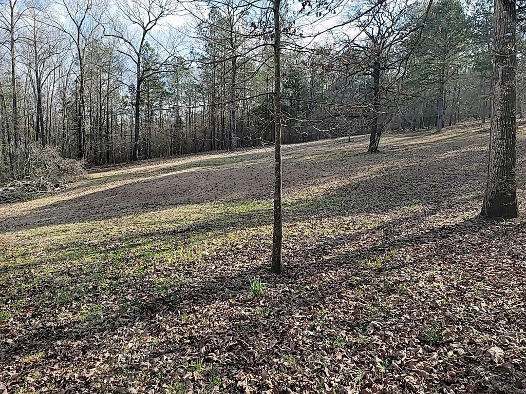 11 Copperhead Road Seale, AL 36875 - Photo 8 of 51