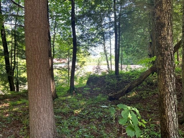 6 Country Grv Estates, Unit 6 Rutland, VT 05701 - Photo 16 of 16