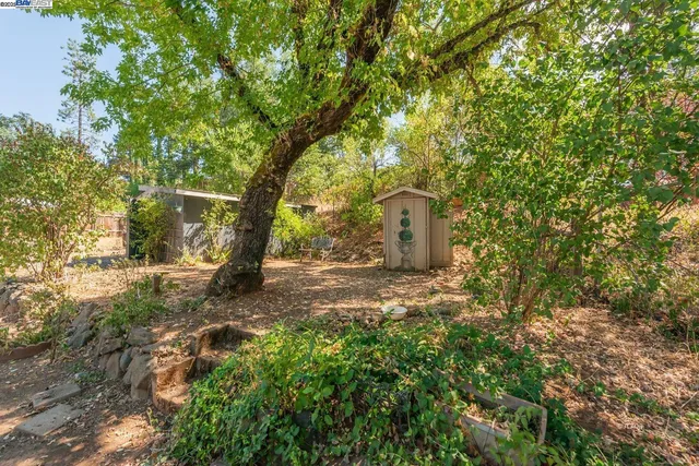 a view of a house with a tree in the yard